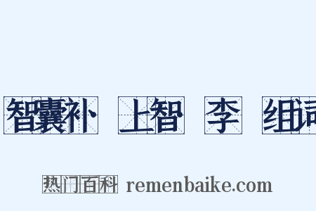 智囊补·上智·李愬组词是什么意思的图片